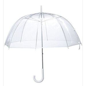 BRAND NEW ♡ Clear Dome Umbrella